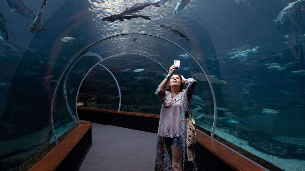 Woman taking photo at Seaworld on Gold Coast.